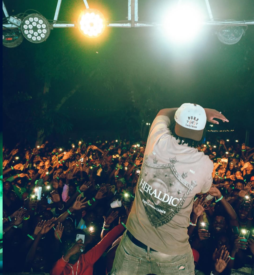 Steves J Bryan on stage at a concert with a crowd in the background